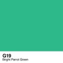 Copic marker - G19 Bright Parrot Green