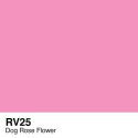 Copic marker - RV25 Dog Rose Flower
