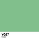 Copic marker - YG67 Moss