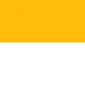 Caran d'Ache Pablo kleurpotlood - 010 Yellow