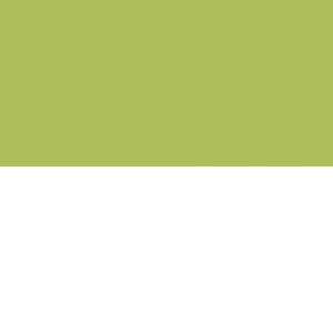 Caran d'Ache Pablo kleurpotlood - 015 Olive yellow