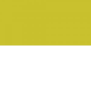 Caran d'Ache Supracolor aquarelpotlood - 015 Olive Yellow