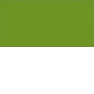 Caran d'Ache Pablo kleurpotlood - 016 Khaki Green