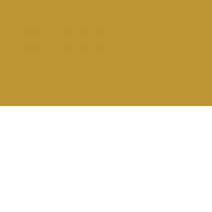 Caran d'Ache Supracolor aquarelpotlood - 025 Green Ochre