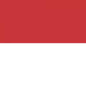 Gekleurd Tekenpapier 300gram 50x70cm PAK 25vel – 18 ZEGELROOD