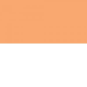 Gekleurd Tekenpapier 300gram 50x70cm PAK 25vel – 42 ABRIKOOS