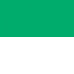Gekleurd Tekenpapier 300gram 50x70cm PAK 25vel – 54 SMARAGDGROEN