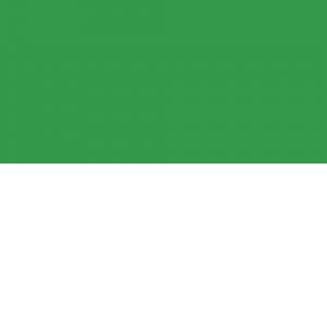Gekleurd Tekenpapier 300gram 50x70cm PAK 25vel – 55 GRASGROEN