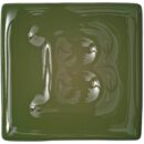 Botz kwastglazuur aardewerk 800ml - 9378 Dschungelgrun