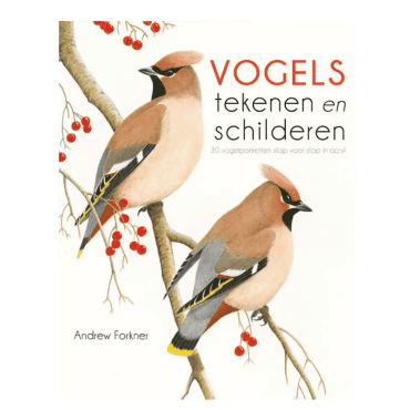 vogels tekenen en schilderen