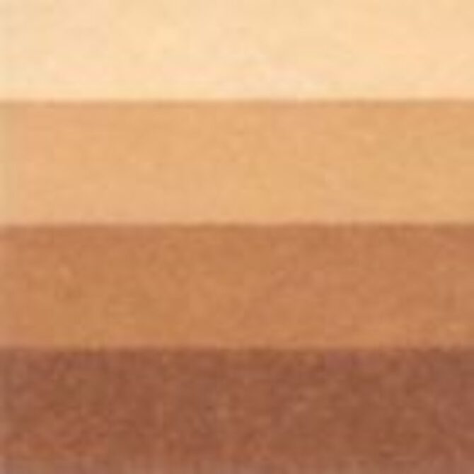 Charbonnel Etsinkt tube 60ml - no.893 Burnt umber