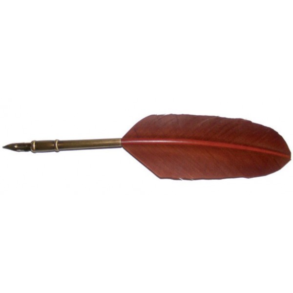 Ganzenveer schrijfpen