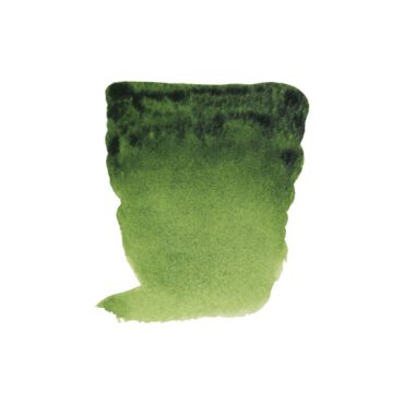 Rembrandt water colour half napje - 623 Sap green (s2)