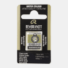 Rembrandt water colour half napje - 629 Green earth (s1)