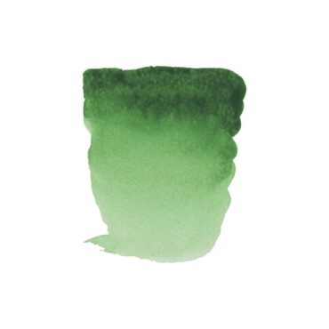 Rembrandt water colour half napje - 662 Perm. green (s2)