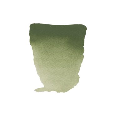 Rembrandt water colour half napje - 668 Chromium oxide green (s2)