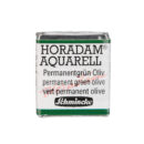 Schmincke Horadam Aquarel 1/2 napje - 534 Permanent Green Olive (s2)