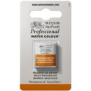 W&N Artists Aquarel 1/2 napje - 381 Magnesium Brown (s1)