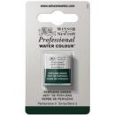 W&N Artists Aquarel 1/2 napje - 460 Perylene Green (s2)