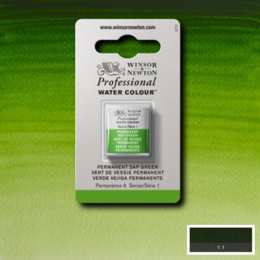 W&N Artists Aquarel 1/2 napje - 503 Permanent Sap Green (s1)