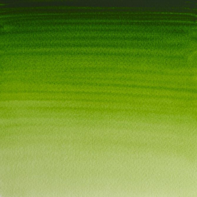 W&N Artists Aquarel 1/2 napje - 503 Permanent Sap Green (s1)