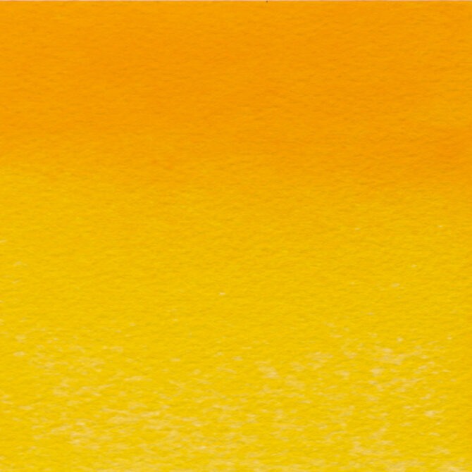 W&N Artists Aquarel 1/2 napje - 891 Cadmium FREE Yellow Deep (s4)