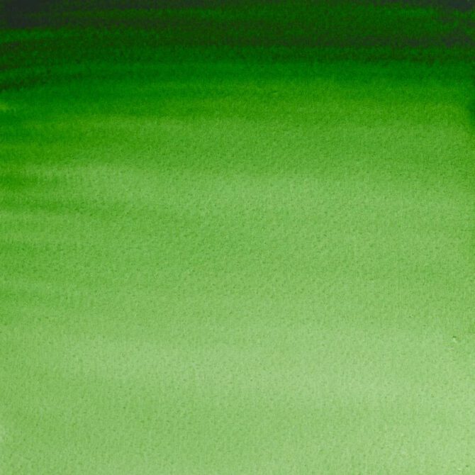 W&N Artists Aquarel tube 5ml - 311 Hooker's Green (s1)