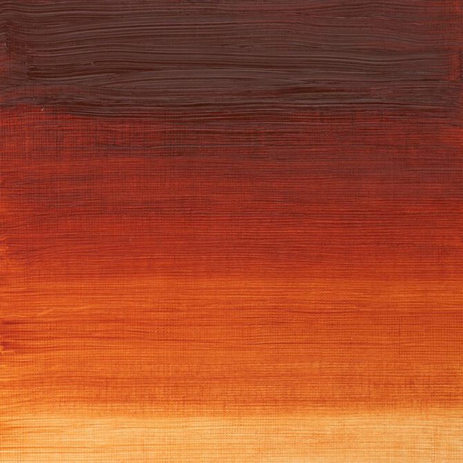 W&N Winton Olieverf 200ml - 074 Burnt Sienna