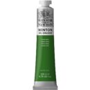 W&N Winton Olieverf 200ml - 637 Terre Verte