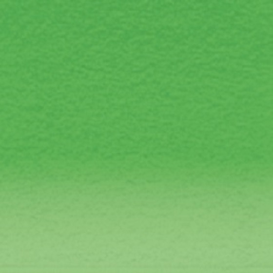 Derwent Lightfast Kleurpotlood - LF1 Grass Green