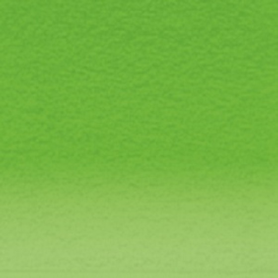 Derwent Studio Kleurpotlood - 47 Grass Green