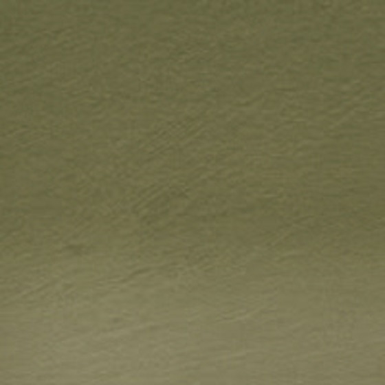 Derwent Watercolour Aquarelpotlood - 049 Sap Green