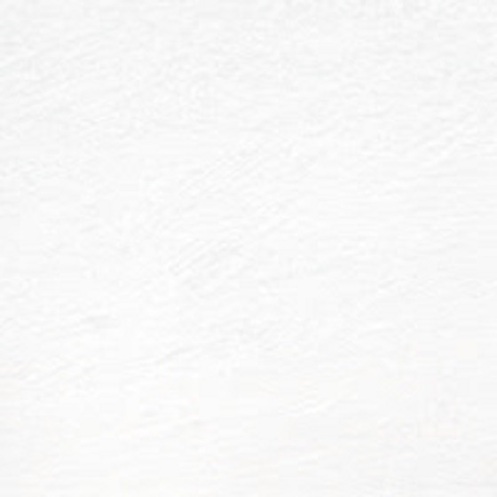 Derwent Watercolour Aquarelpotlood - 072 Chinese White