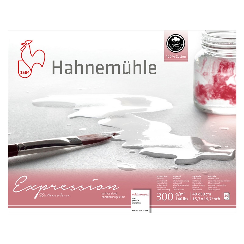 Hahnemuhle Expression Aquarelblok 300gram 20vel – 40x50cm