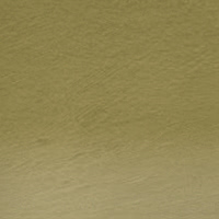 Derwent Tinted Charcoal houtskoolpotlood - TC16 Dark Moss