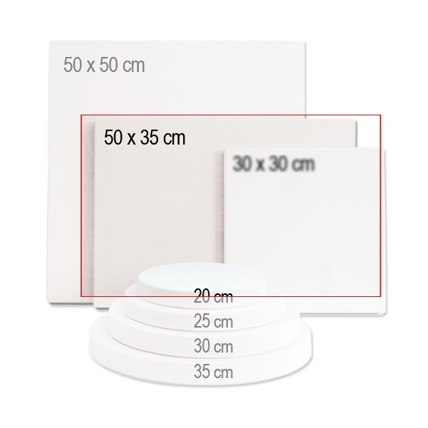 Gipsplaat werkplaat 35x50cm (4cm)
