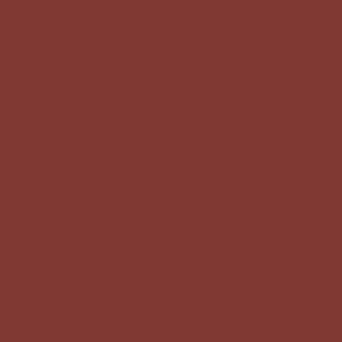 Winsor Newton Promarker - Burnt Mahogany O224