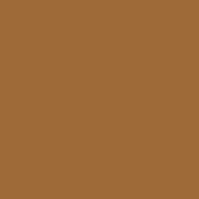 Winsor Newton Promarker - Hazelnut O534