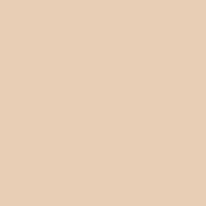 Winsor Newton Promarker - Pale Cream Y219
